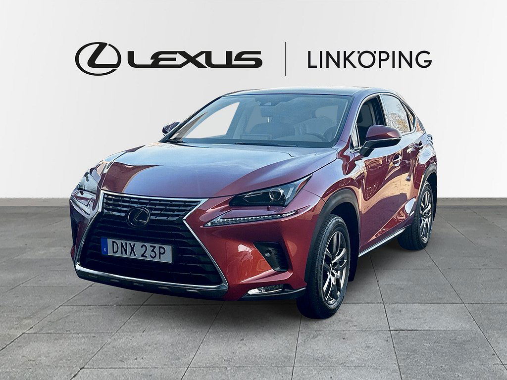 Lexus NX 2019