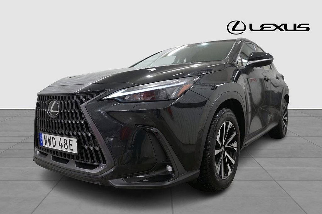 Lexus NX 2024