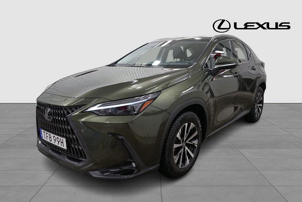 Lexus NX 2024