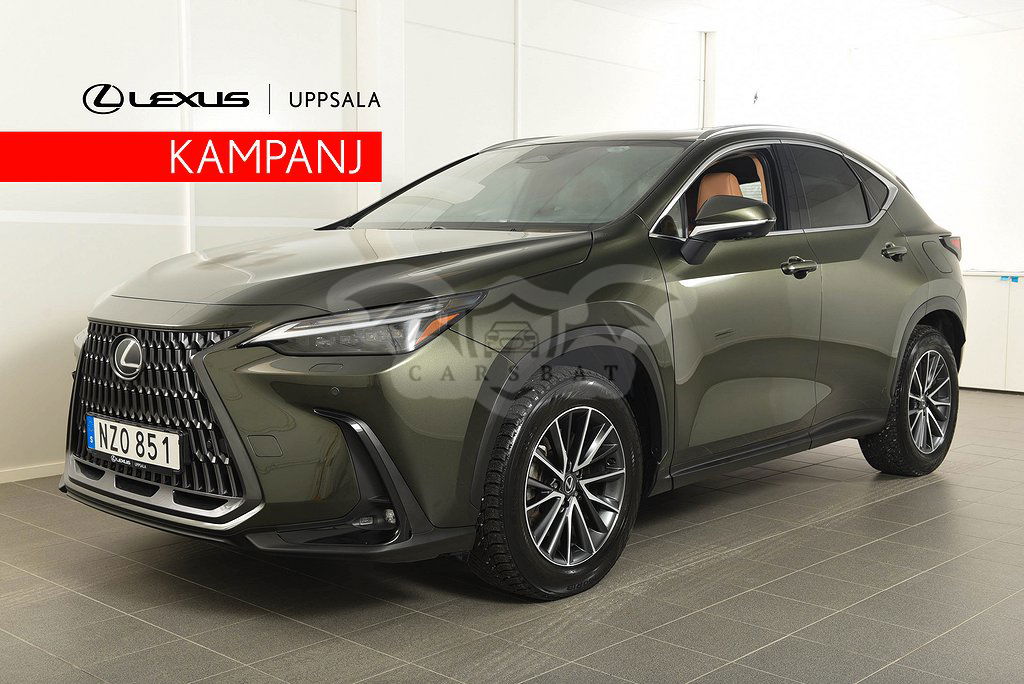 Lexus NX 2023