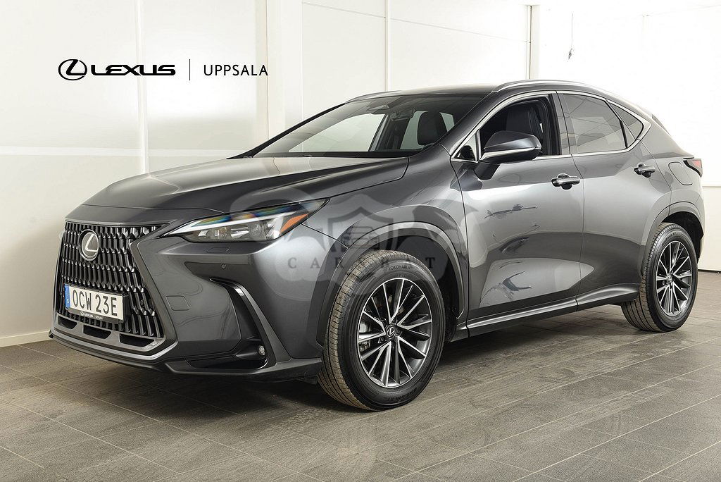 Lexus NX 2023
