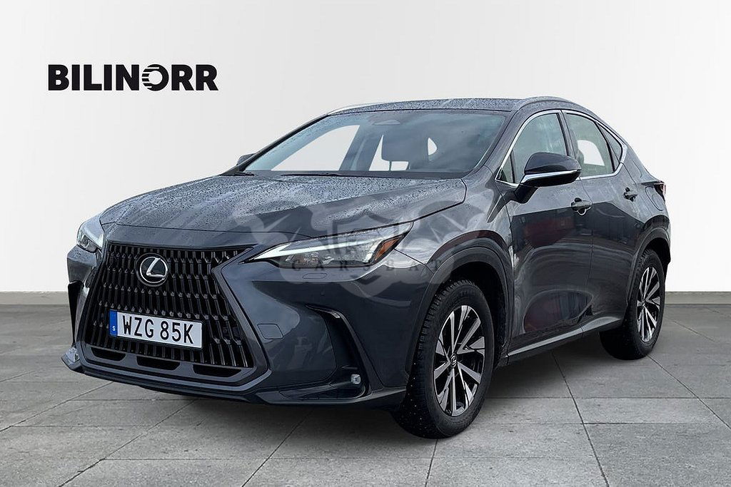 Lexus NX 2023