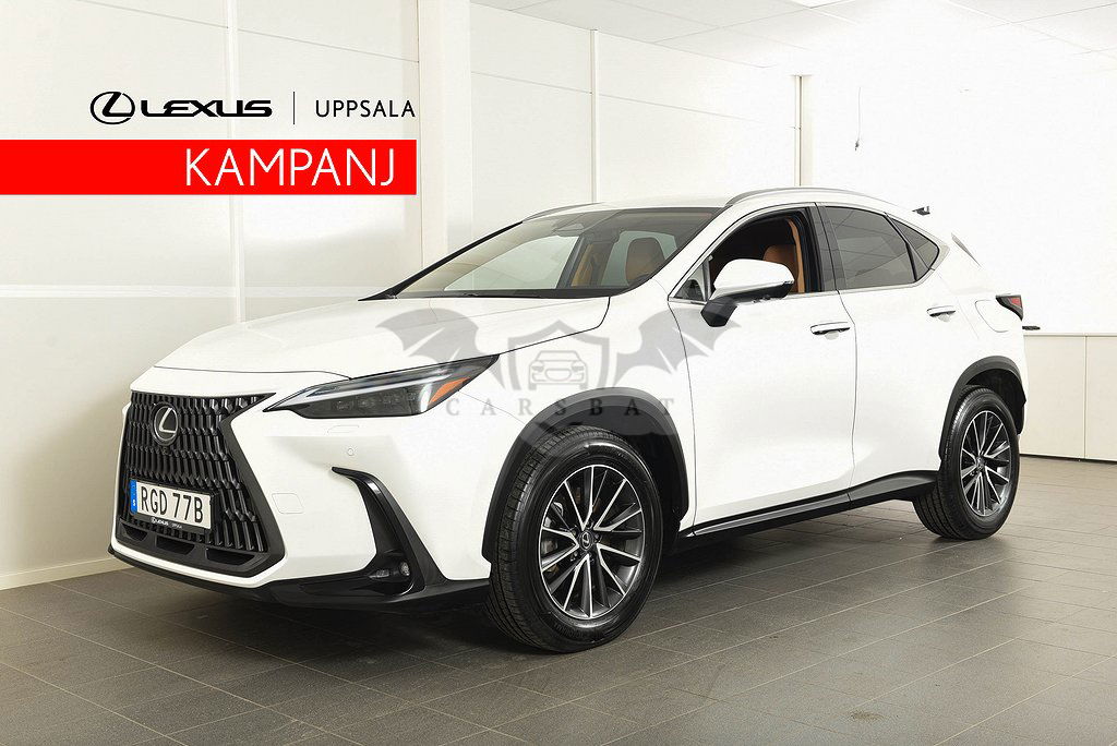 Lexus NX 2023
