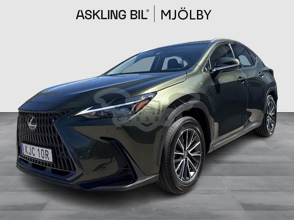 Lexus NX 2024