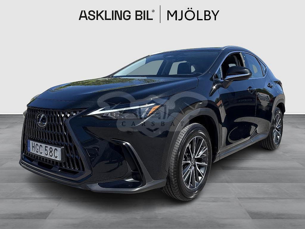Lexus NX 2024