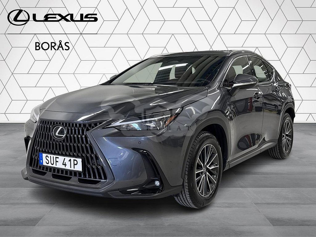 Lexus NX 2024