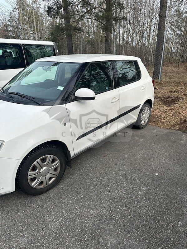 Skoda Fabia 2008