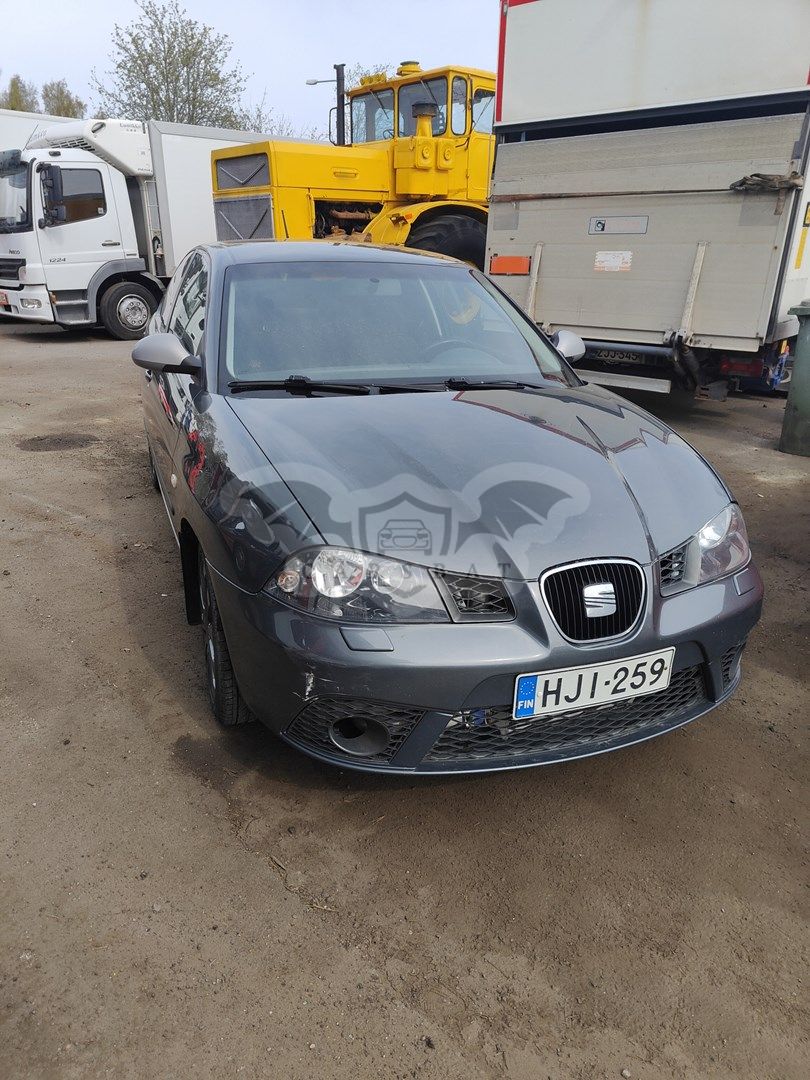 Seat Ibiza 1.8T 2007