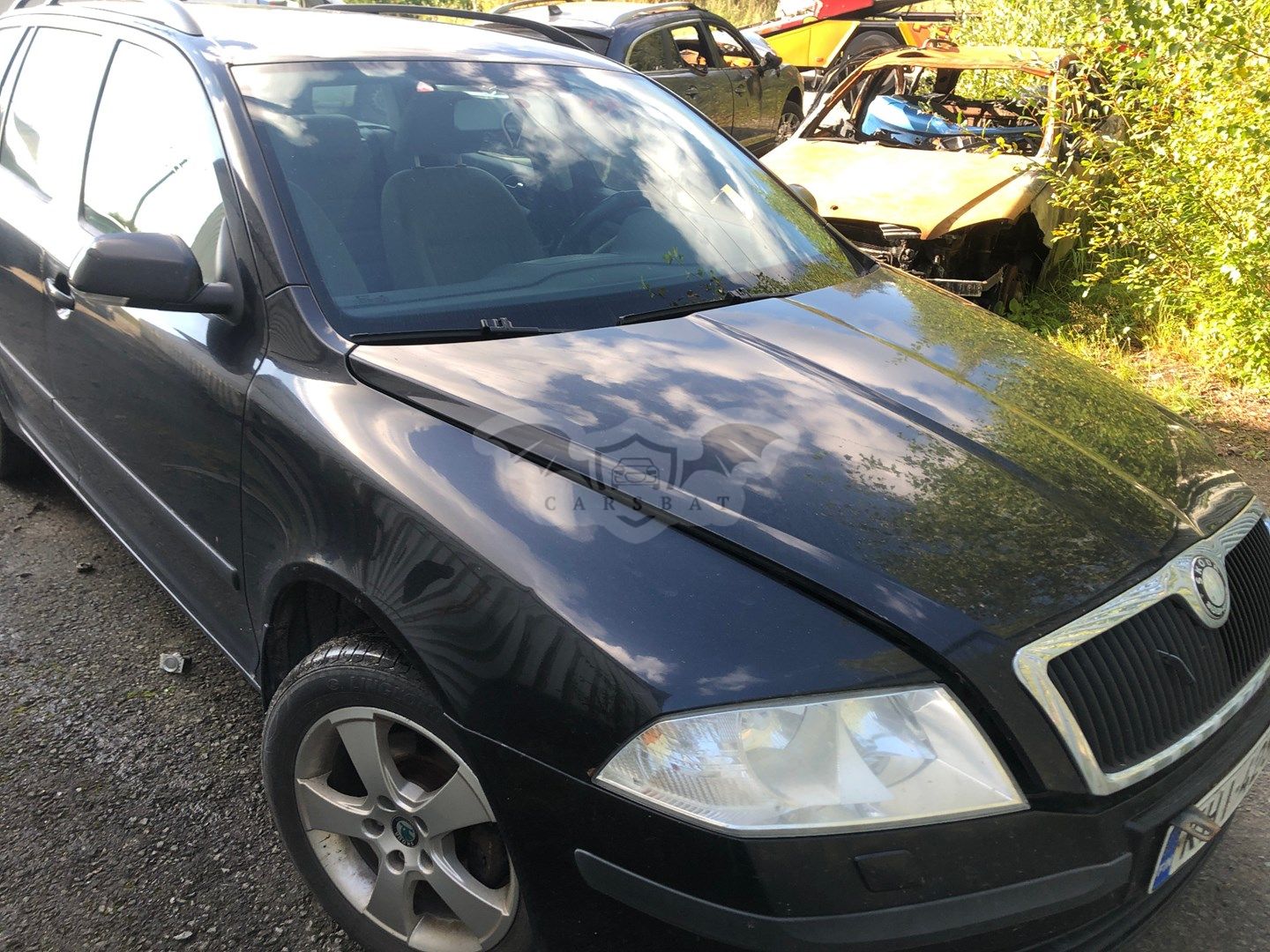 Skoda Octavia 1.9TDI 4X4 2008