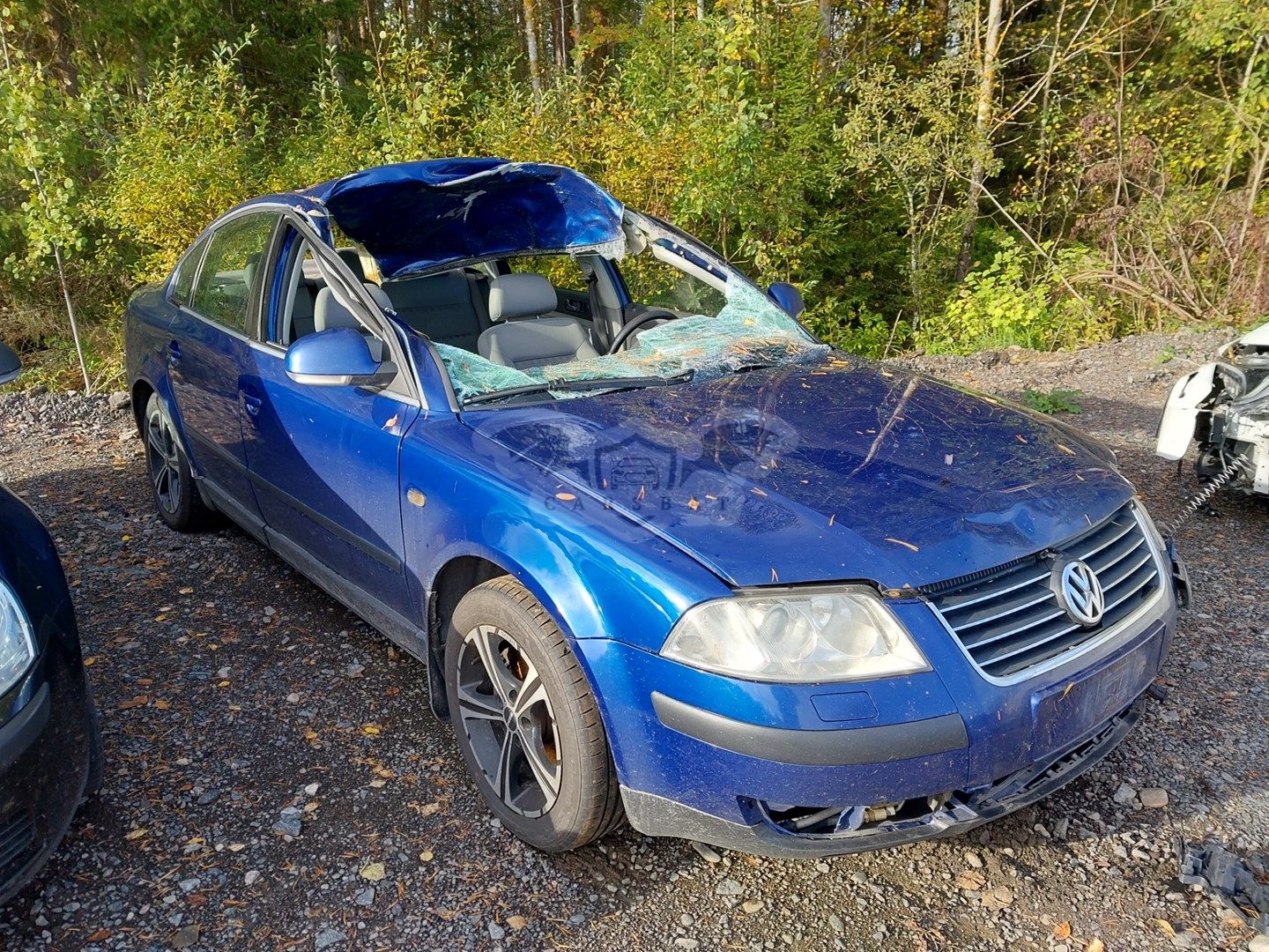 Volkswagen Passat 1.9TDI 2004