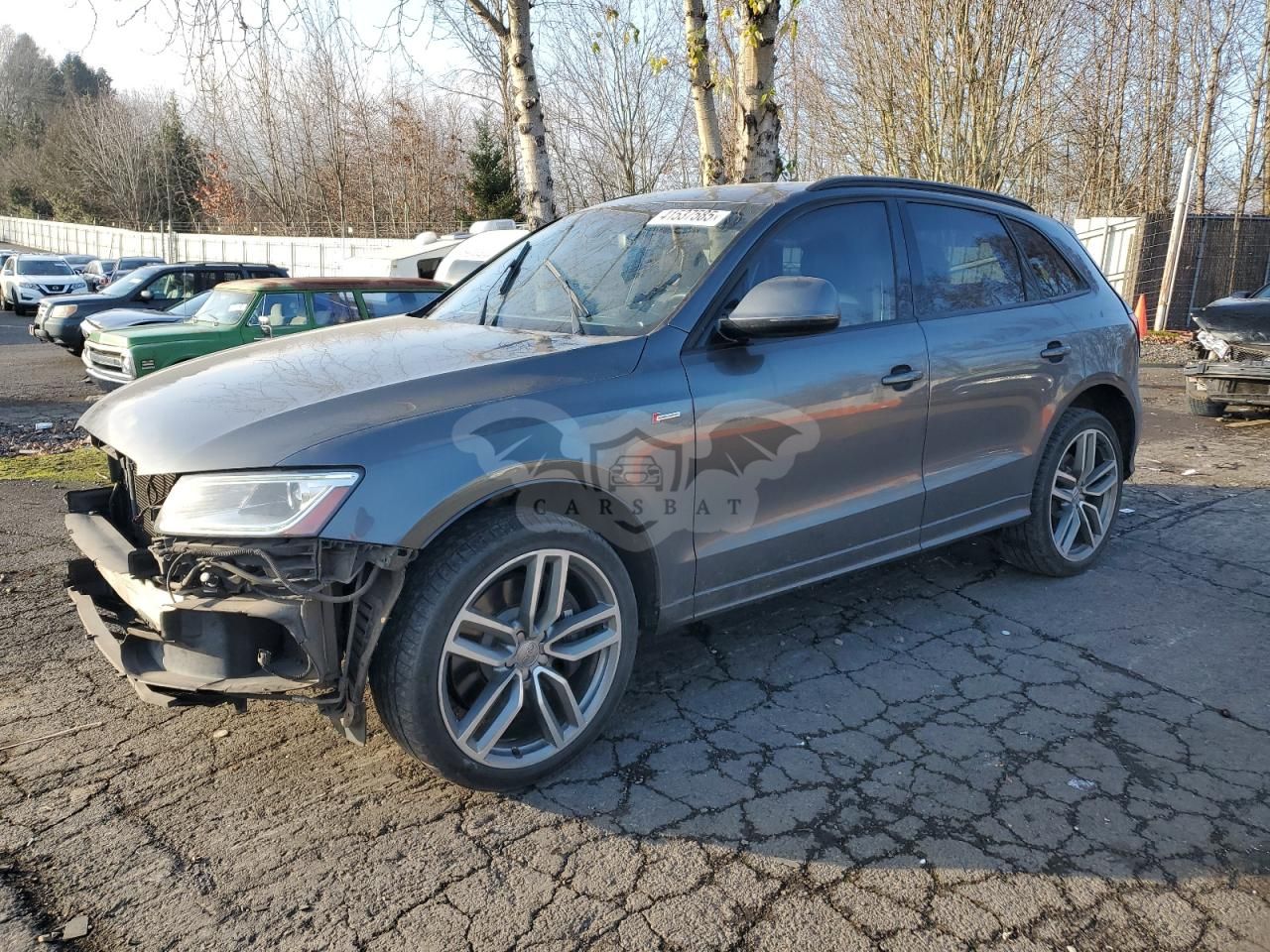 Audi SQ5 3.0L 6 2015