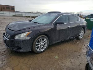 Nissan Maxima 3.5L 6 2012