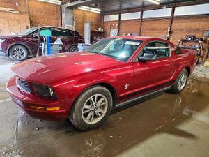 Ford Mustang 4.0L 6 2005