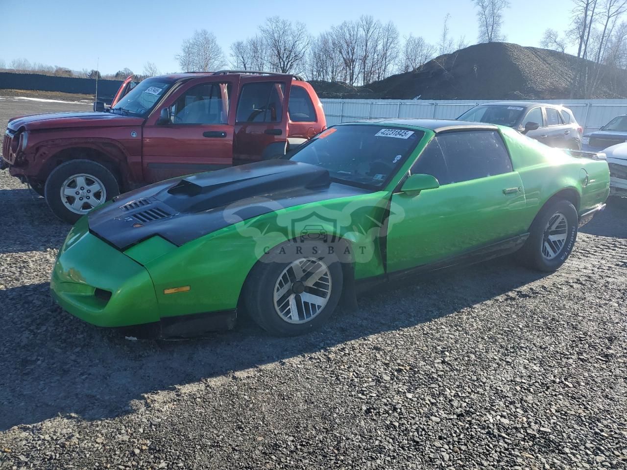 Pontiac Firebird 3.1L 6 1991