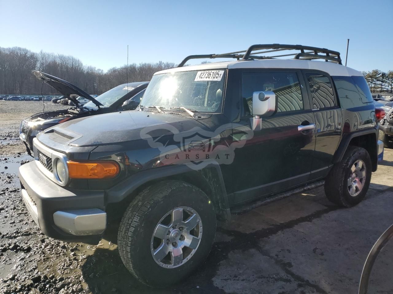 Toyota FJ Cruiser 4.0L 6 2007