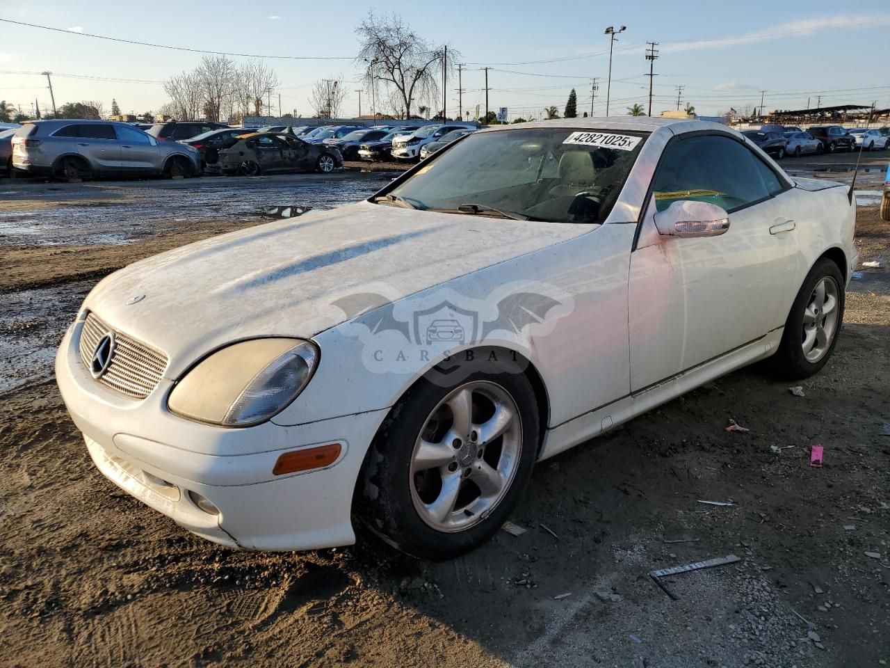 Mercedes-Benz SLK 320 3.2L 6 2003