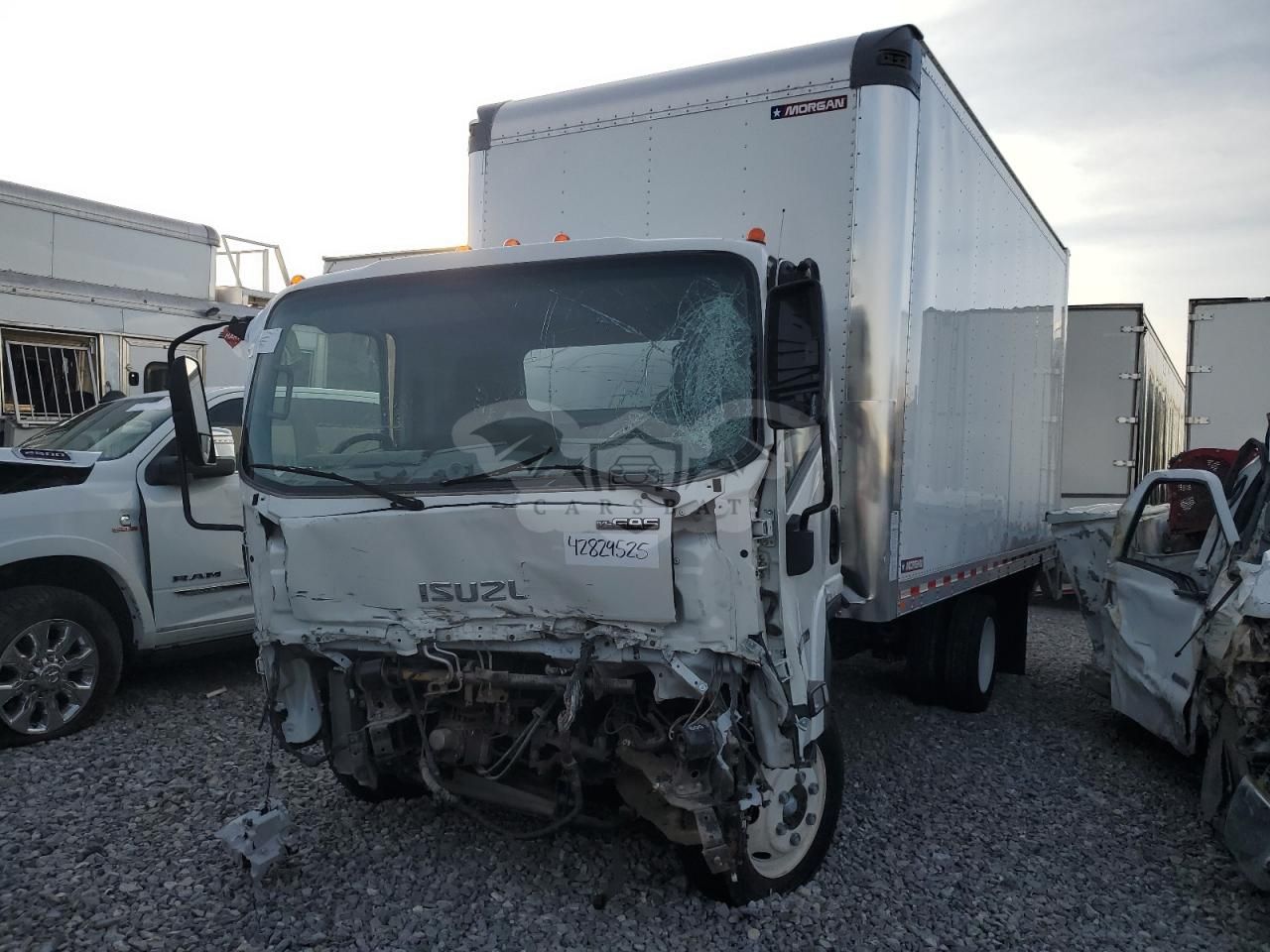 Isuzu NPR 6.6L 8 2023