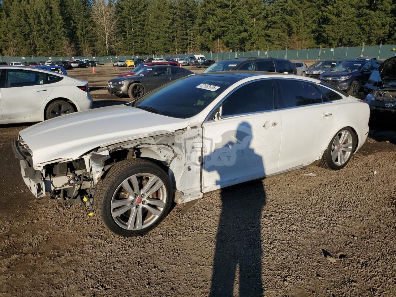 Jaguar XJ PORTFOLIO 3.0L 6 2014