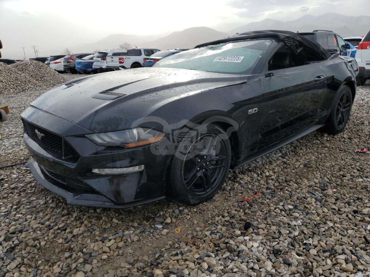 Ford Mustang GT 5.0L  8 2020