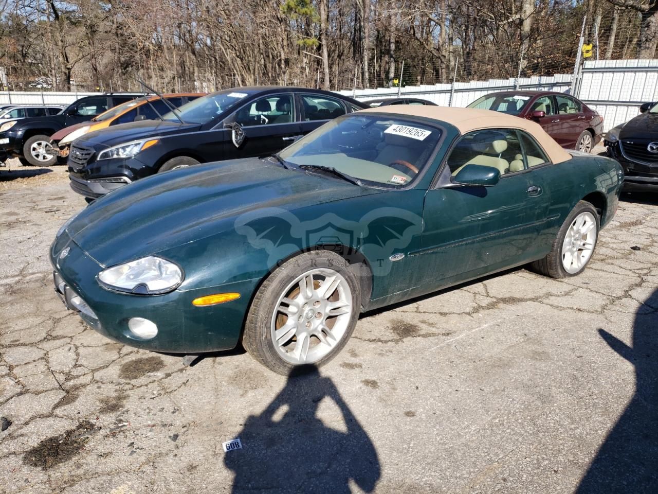 Jaguar XK 4.0L 8 2001