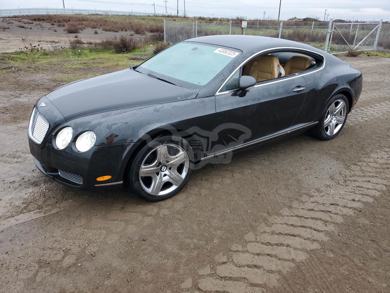 Bentley Continental GT 6.0L 12 2004