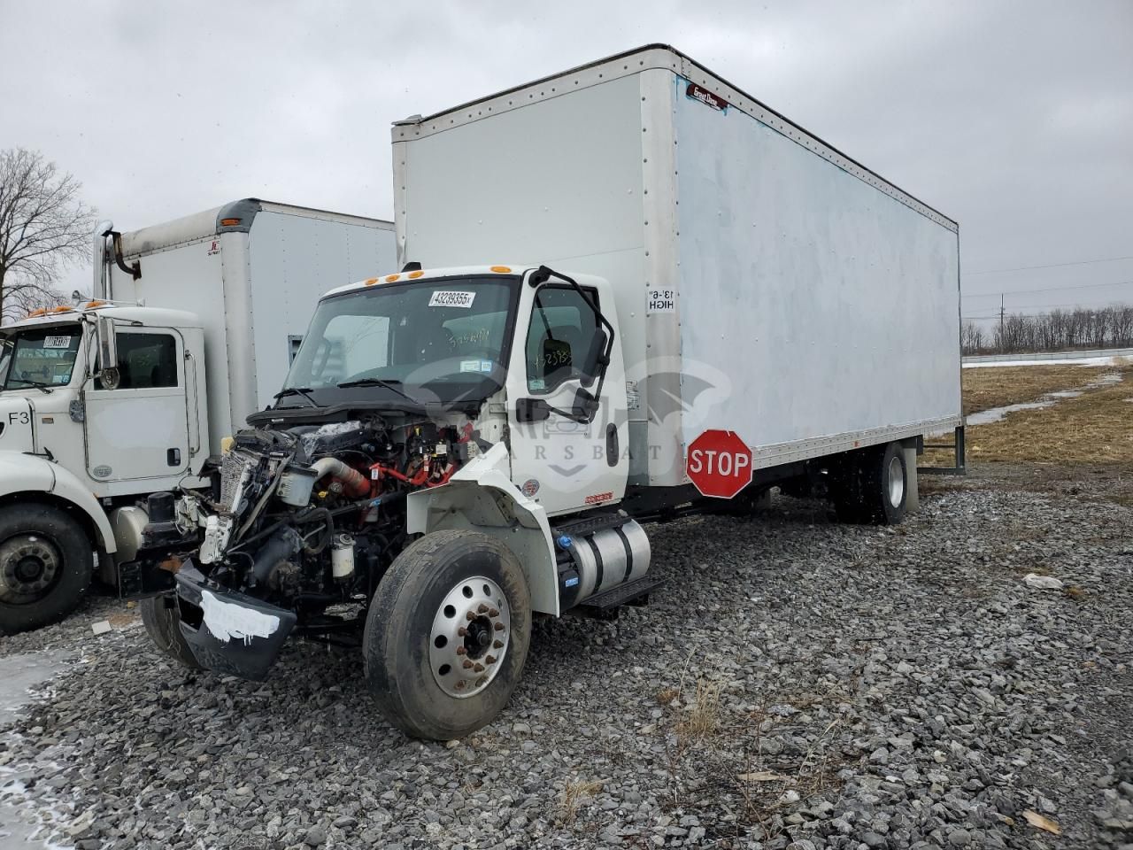 International MV Series 6.7L 6 2023