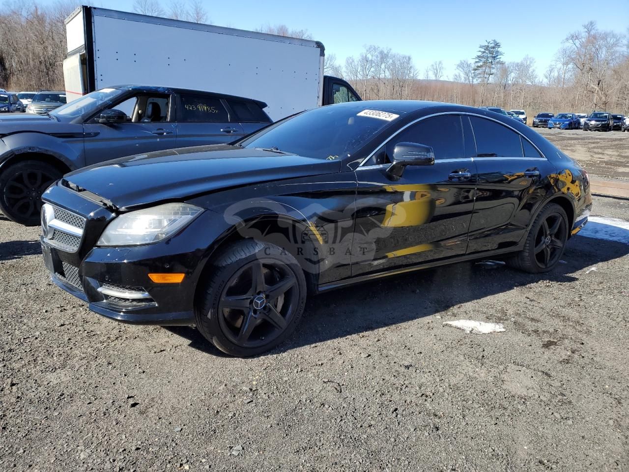Mercedes-Benz CLS 4.6L 8 2013