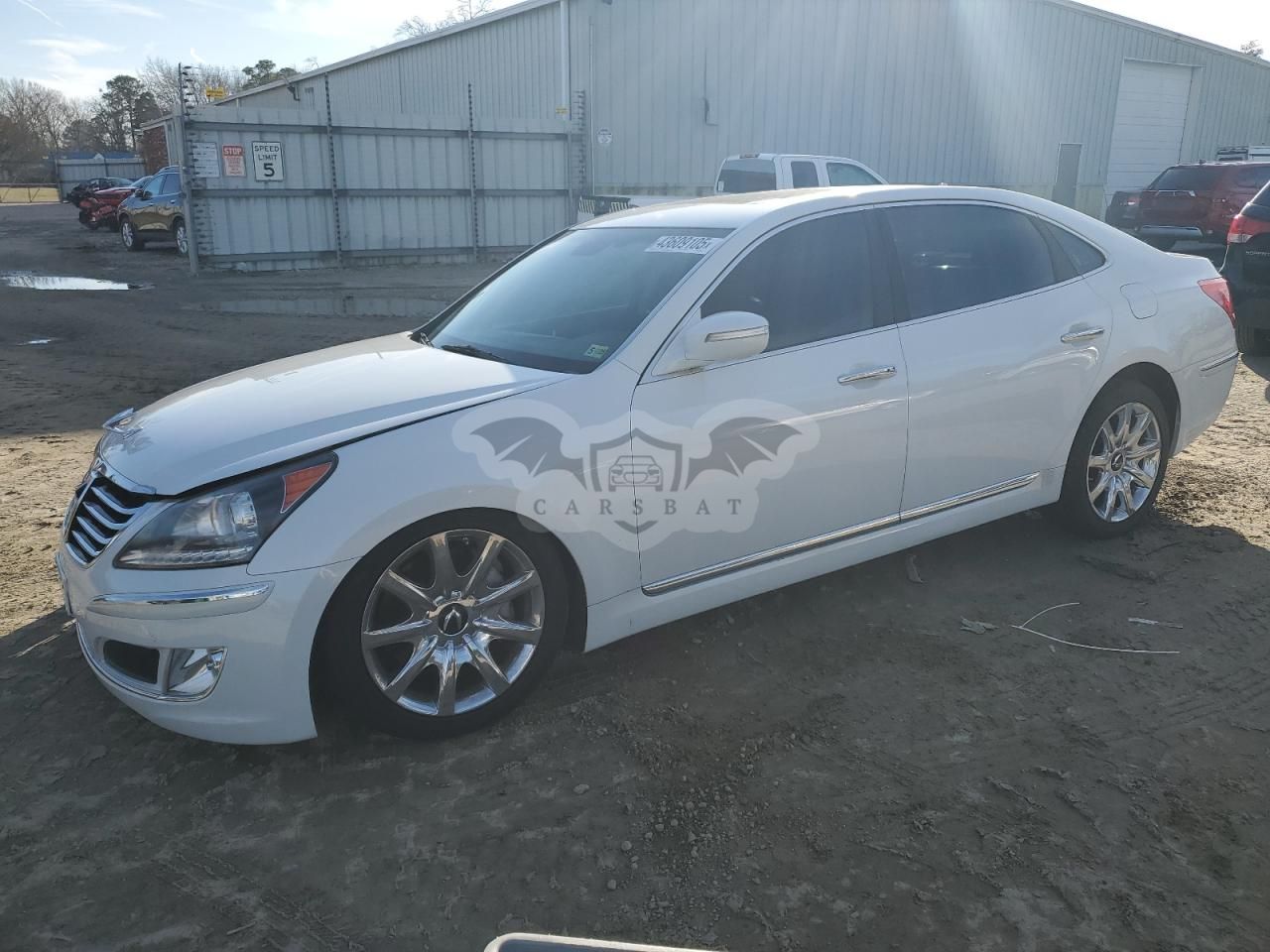 Hyundai Equus SIGNATURE 5.0L 8 2013
