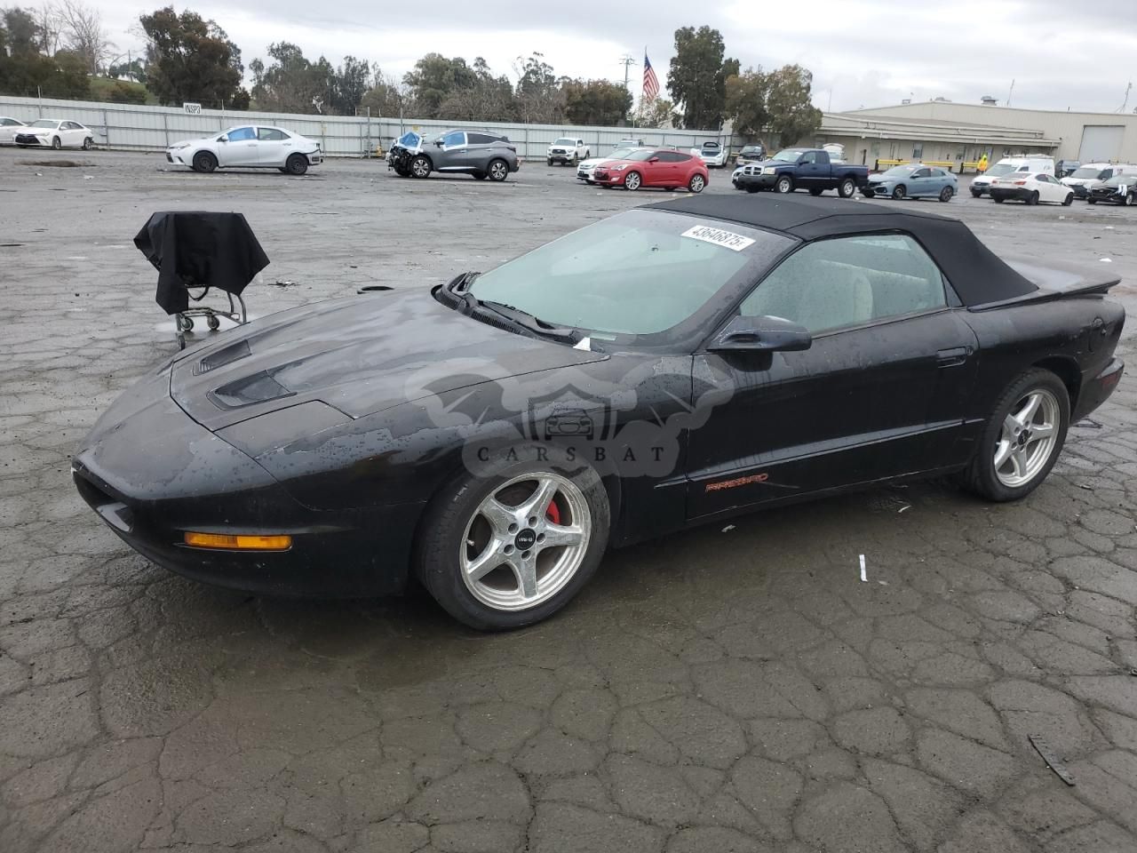 Pontiac Firebird 3.8L 6 1996