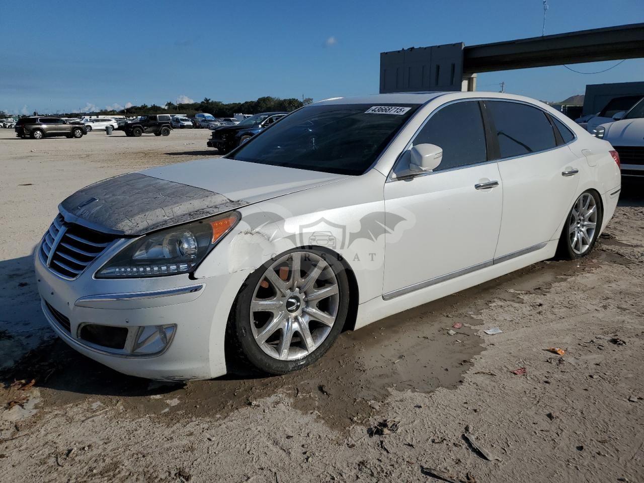 Hyundai Equus SIGNATURE 4.6L 8 2011