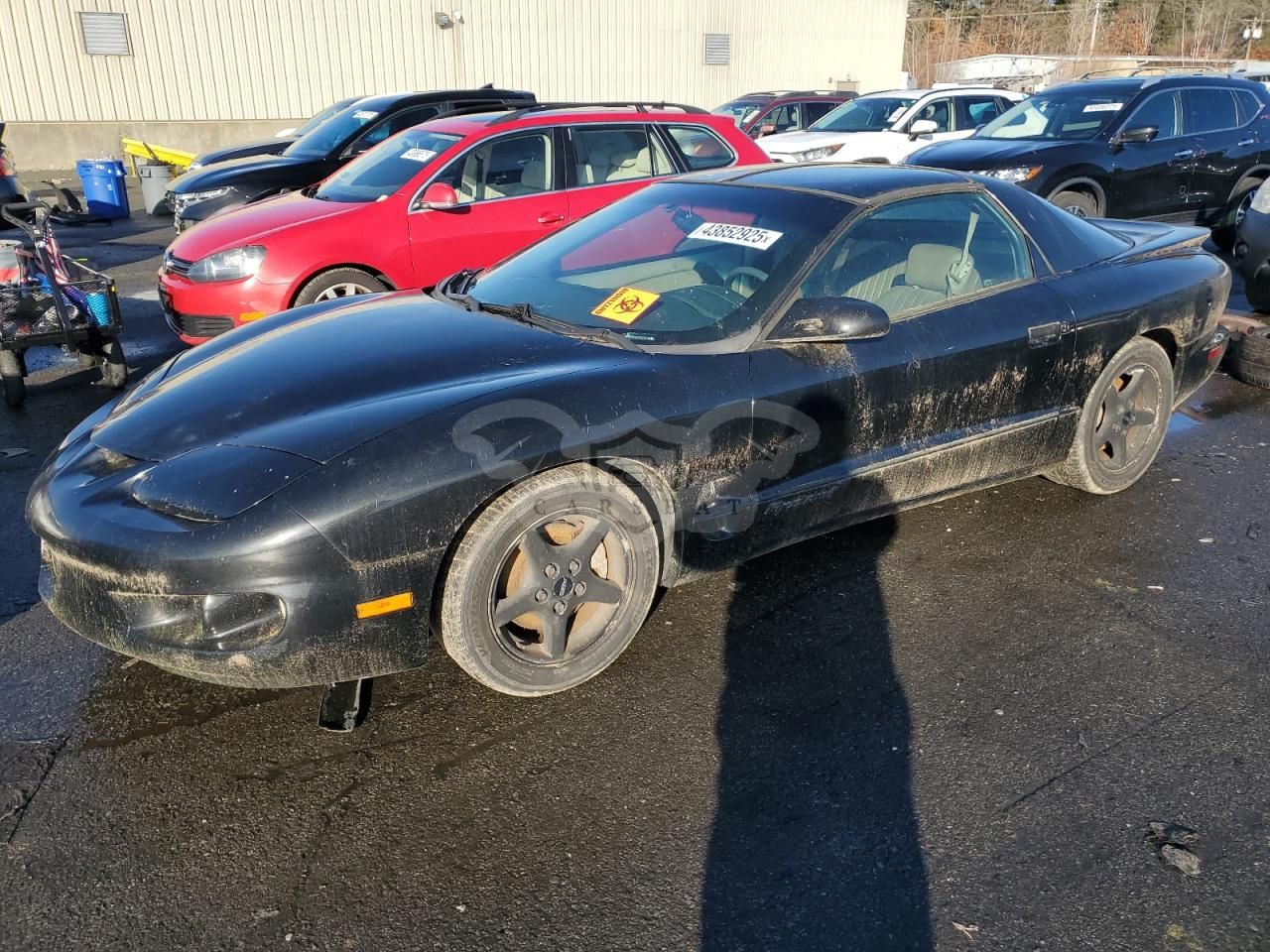 Pontiac Firebird 3.8L 6 1998