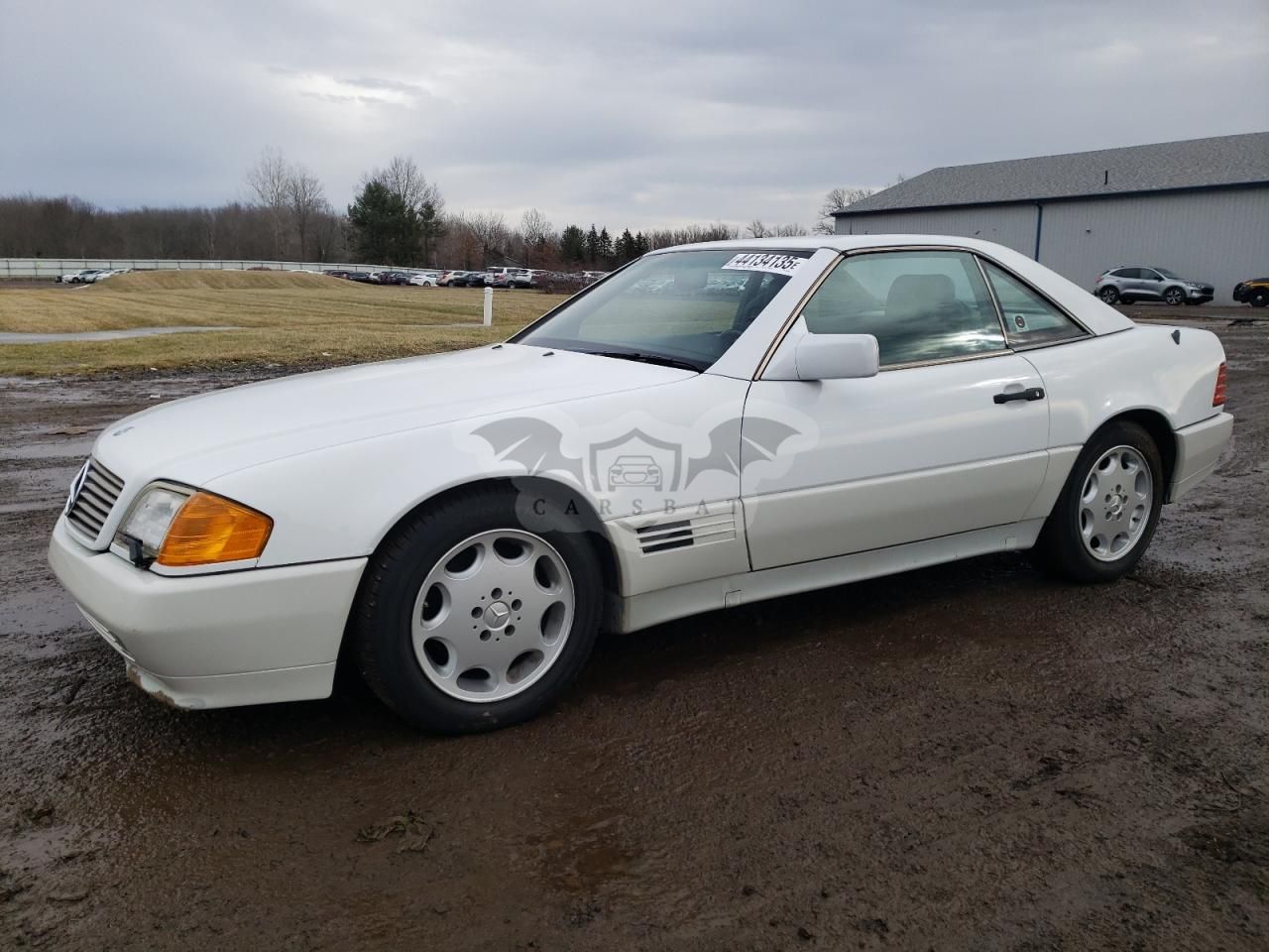 Mercedes-Benz SL SL 5.0L 8 1992