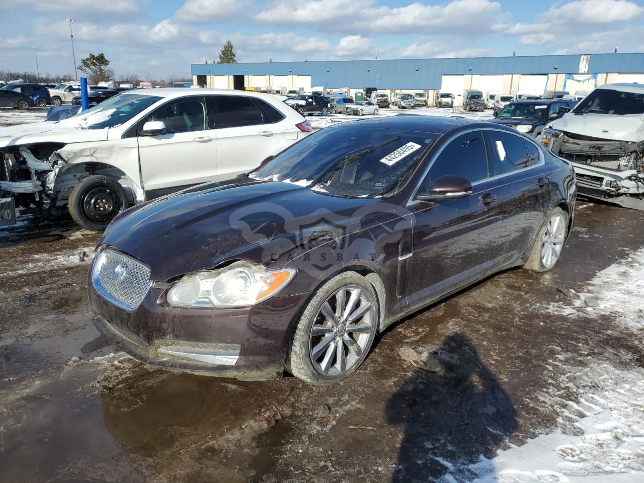 Jaguar XF PREMIUM 5.0L 8 2011