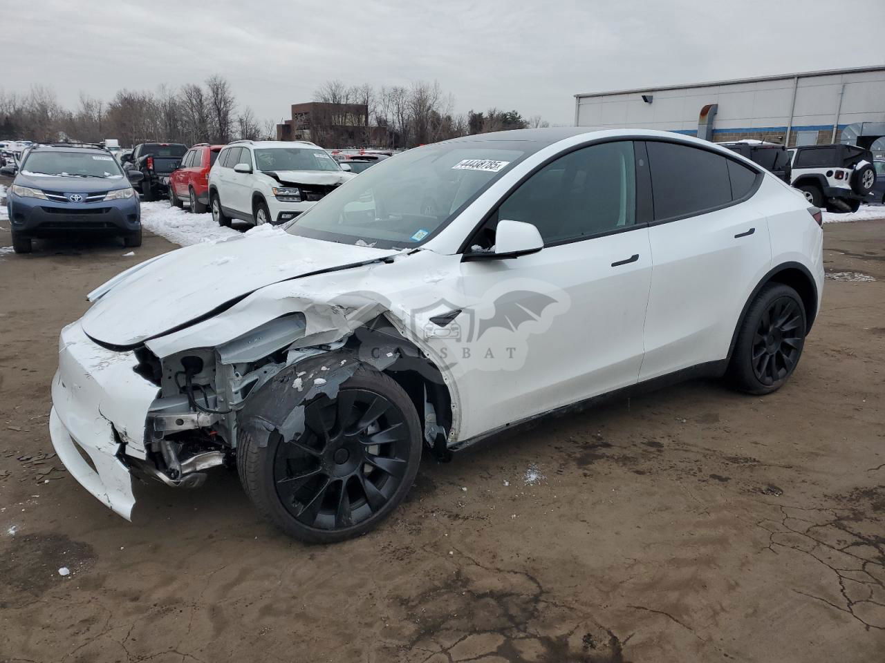 Tesla Model Y 2025