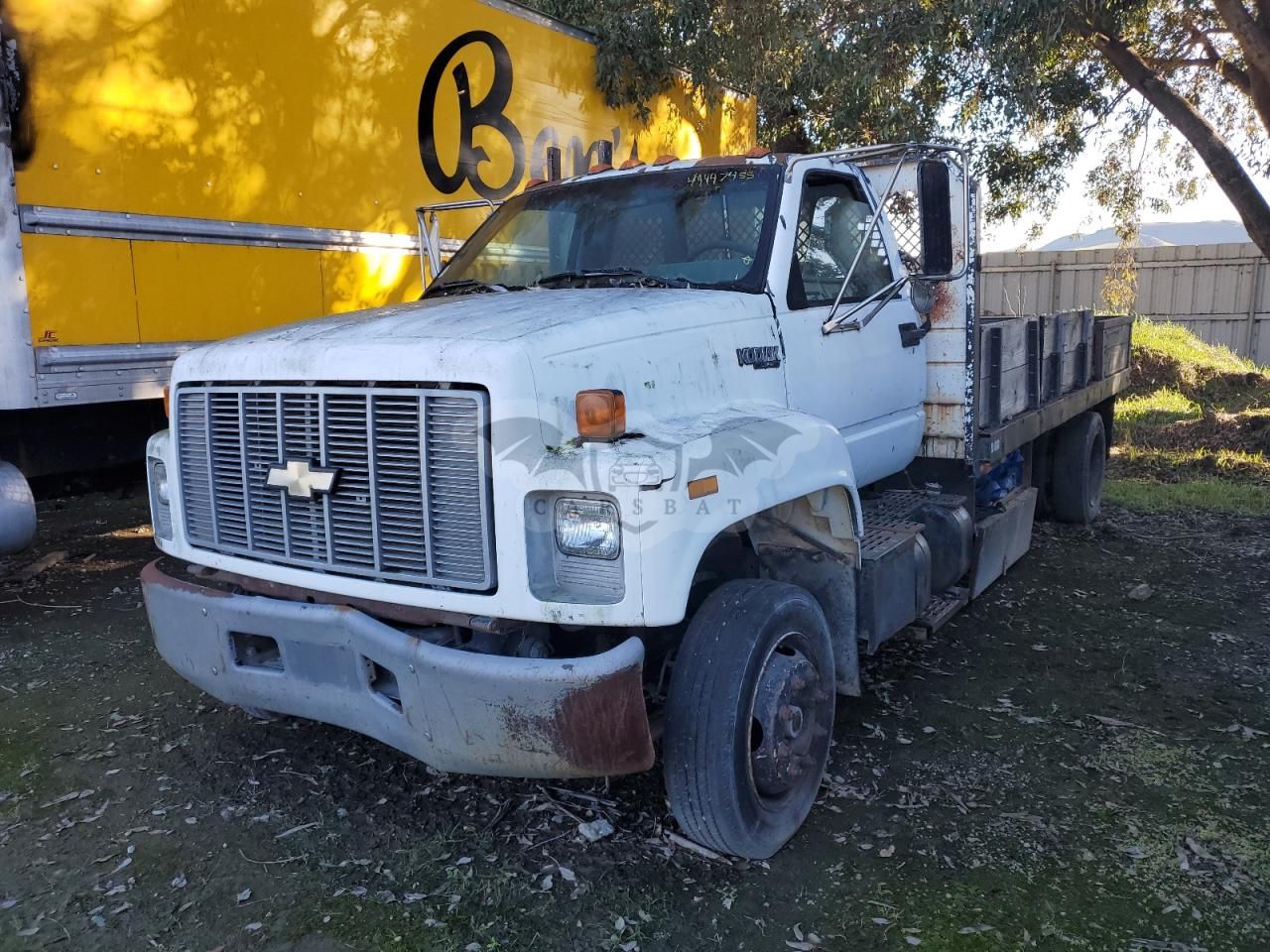 Chevrolet Kodiak C6H042 8 1995