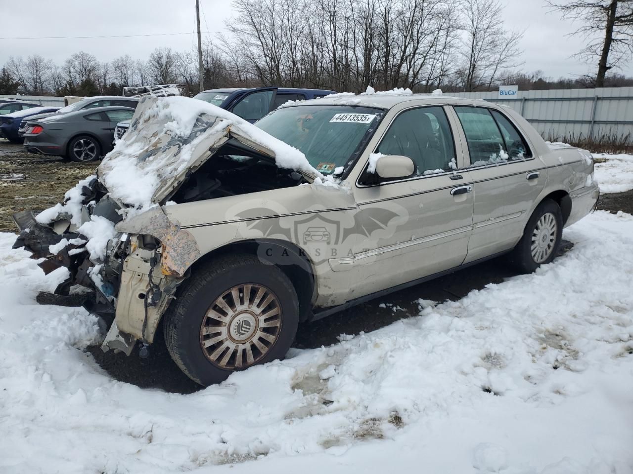Mercury Grand Marquis LS 4.6L 8 2008