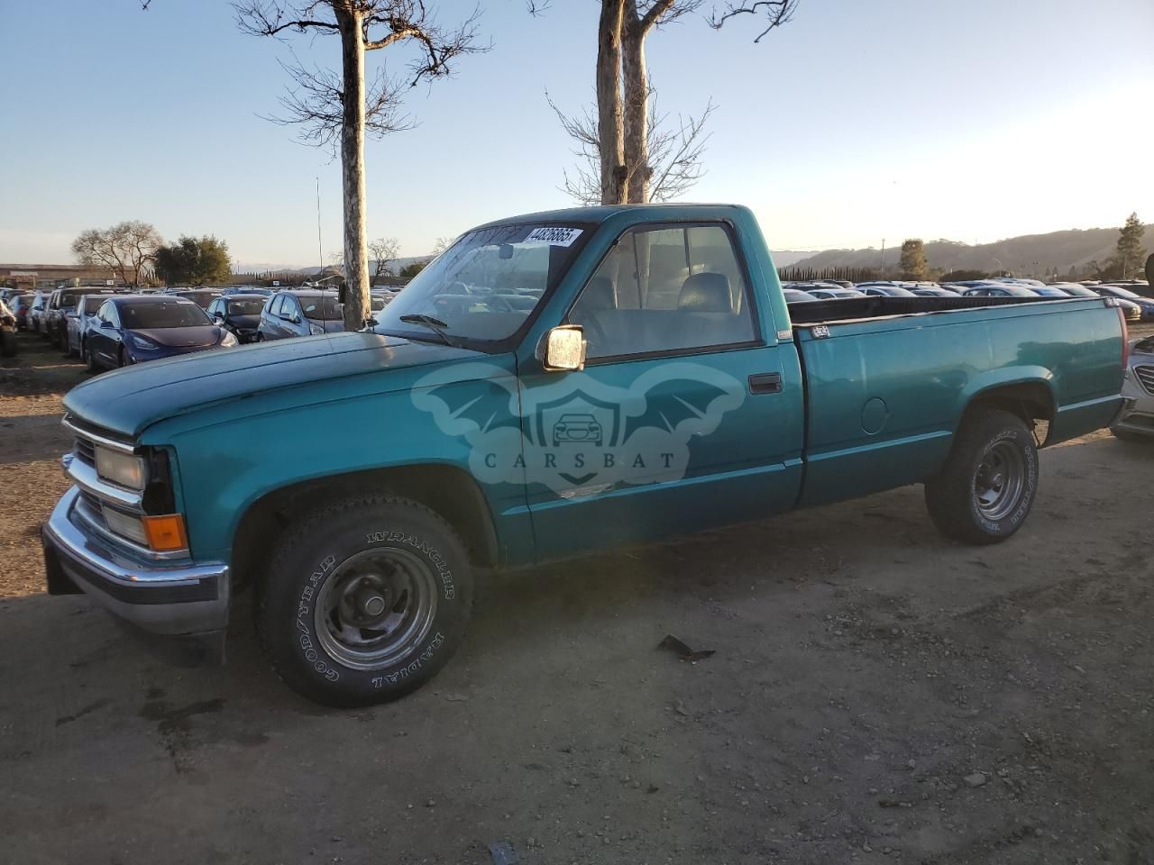 Chevrolet C/K 1500 C1500 4.3L 6 1995