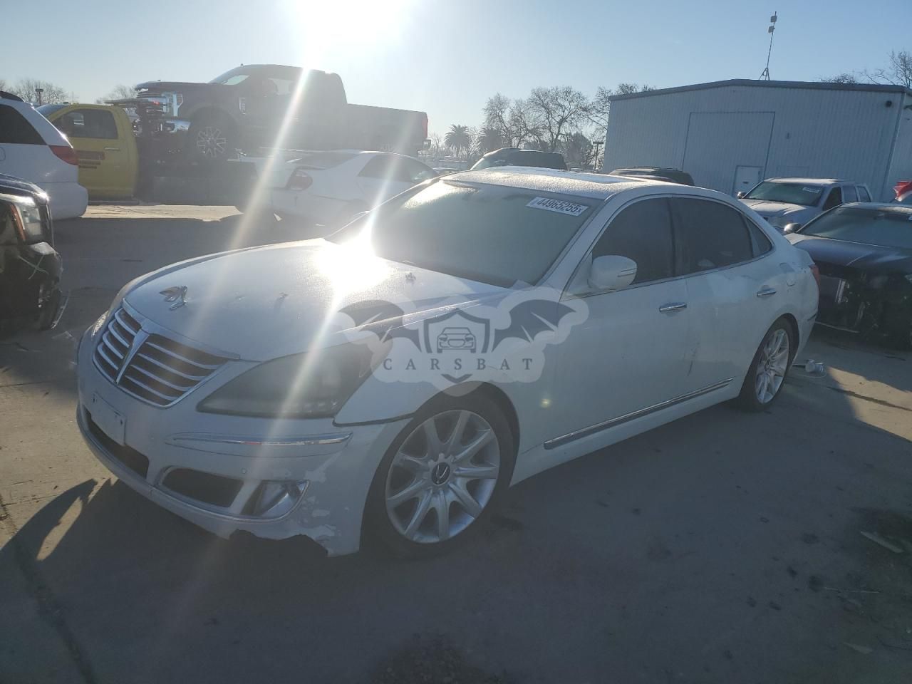 Hyundai Equus SIGNATURE 5.0L 8 2013