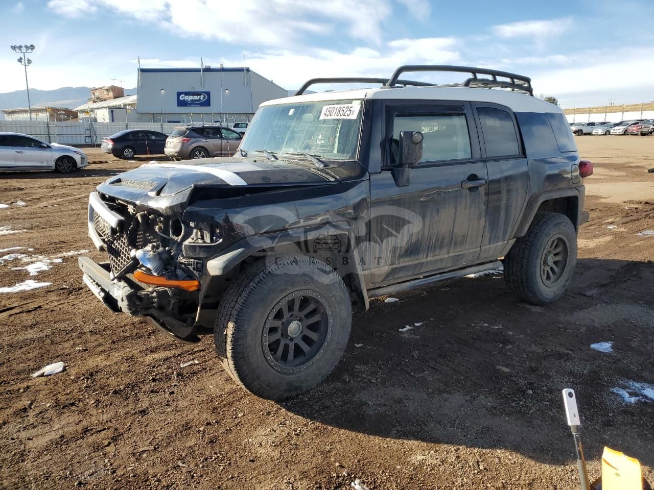 Toyota FJ Cruiser 4.0L 6 2007