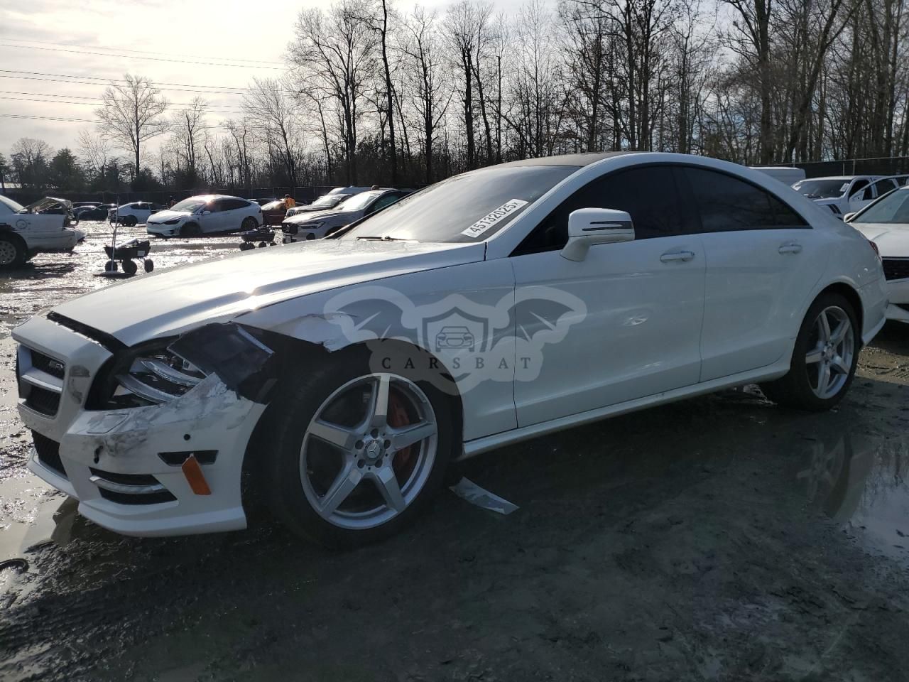 Mercedes-Benz CLS 550 4.6L 8 2014