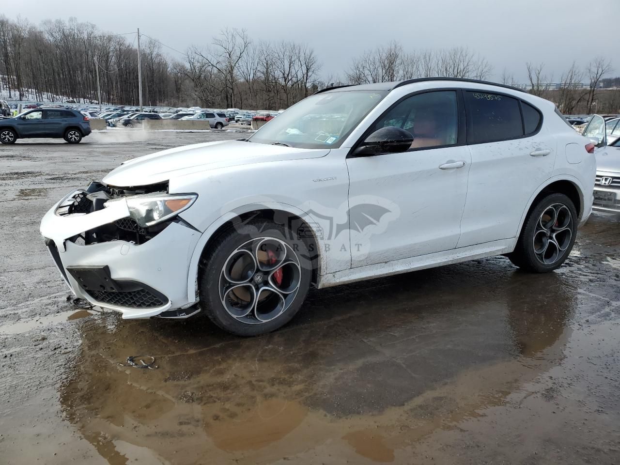 Alfa Romeo Stelvio TI 2.0L 4 2023