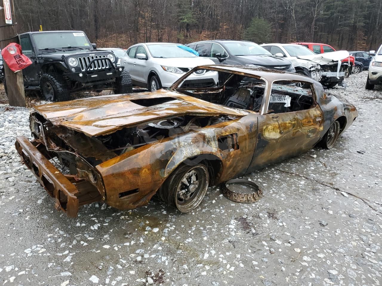 Pontiac Firebird TRANS AM 5.0L 8 1981