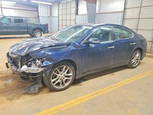 Nissan Maxima 3.5L 6 2010