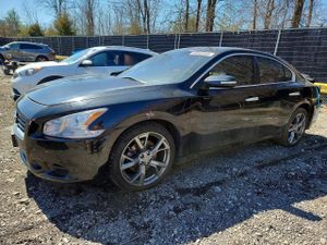 Nissan Maxima 3.5L 6 2014