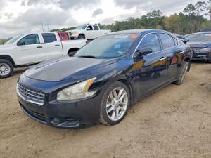 Nissan Maxima 3.5L 6 2014