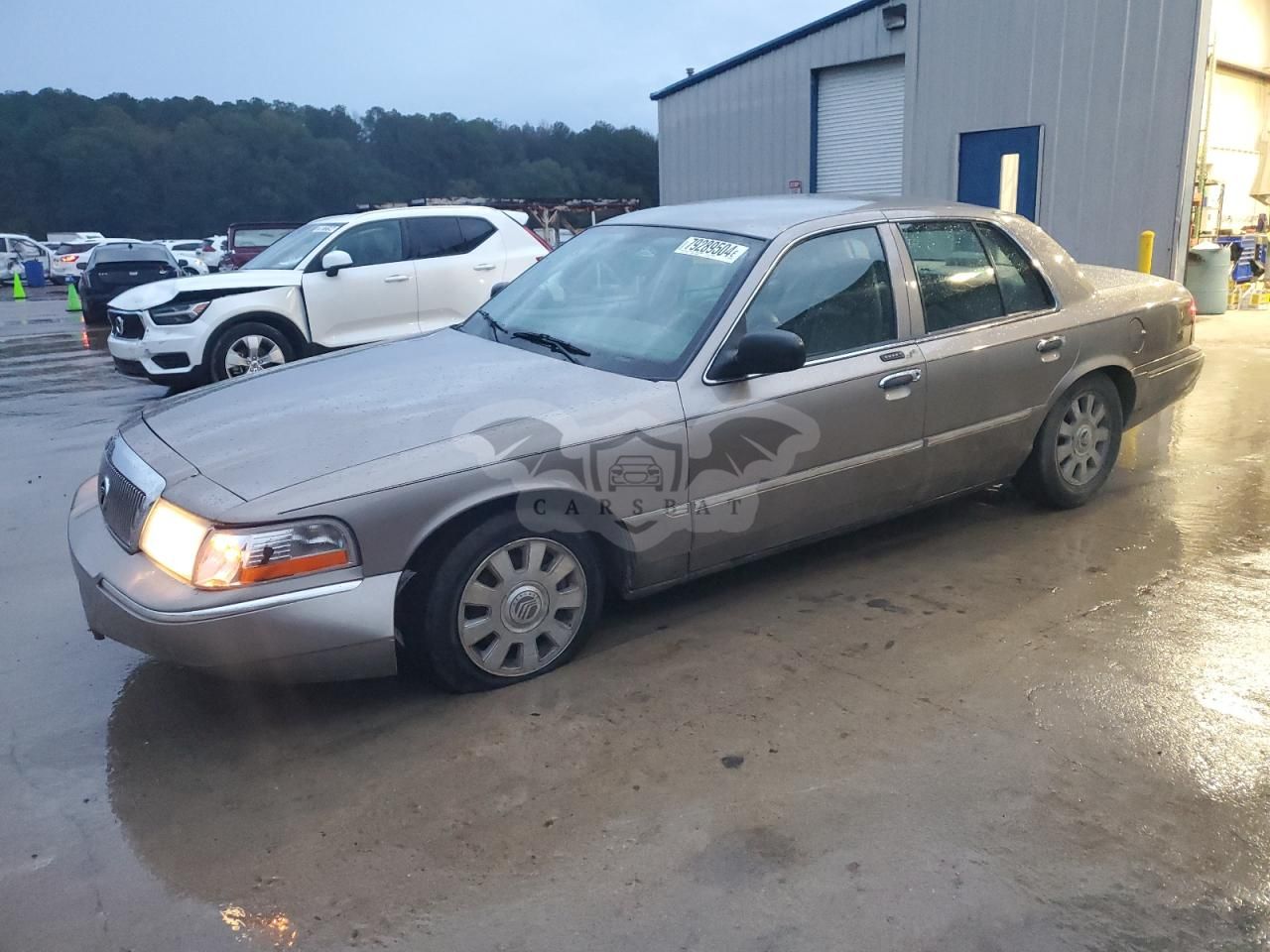 Mercury Grand Marquis LS 4.6L 8 2004