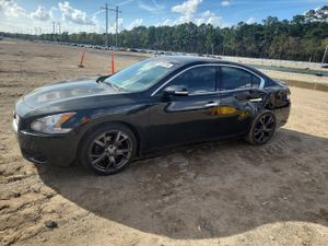 Nissan Maxima 3.5L 6 2014