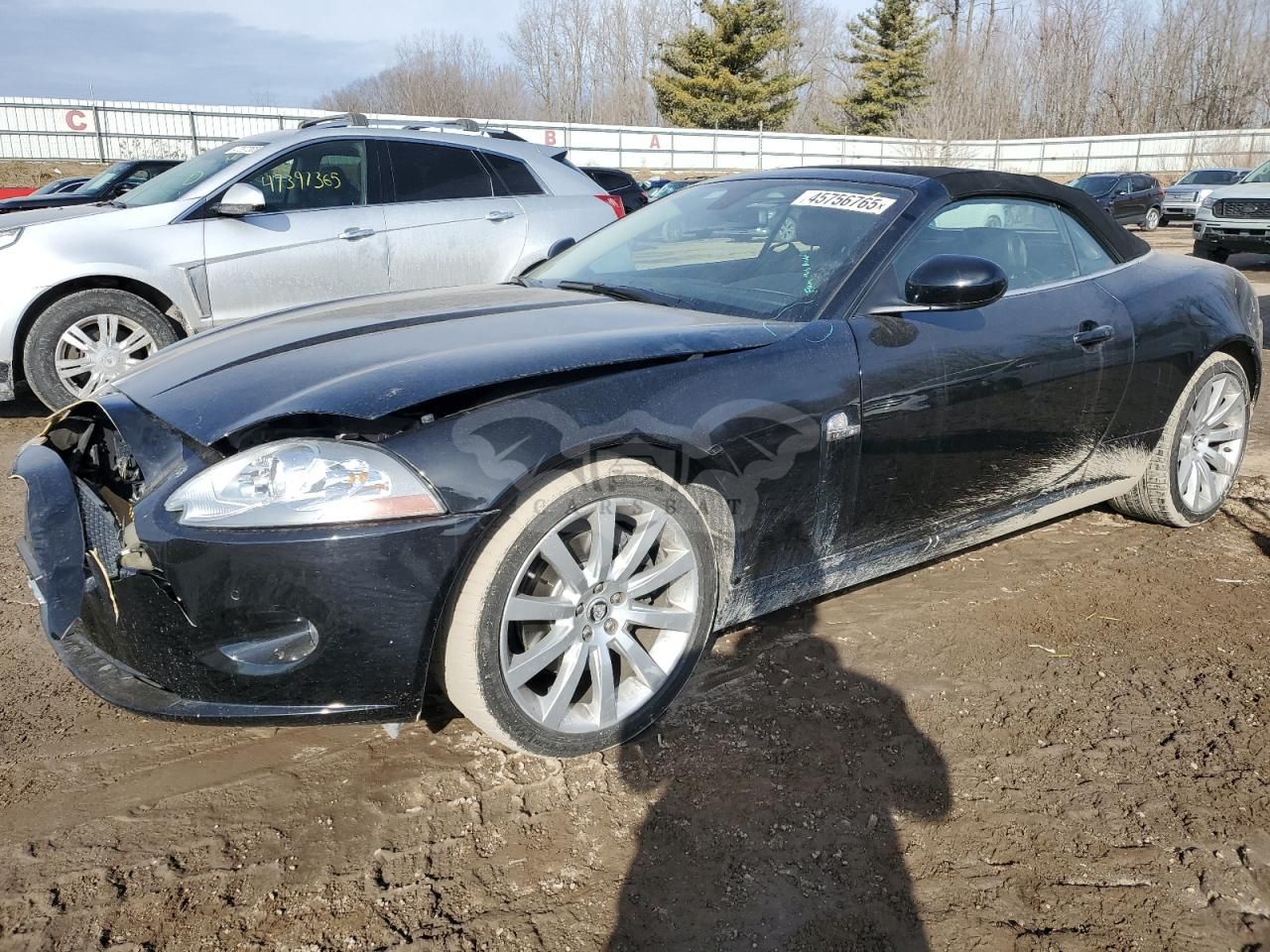Jaguar XK 4.2L 8 2009