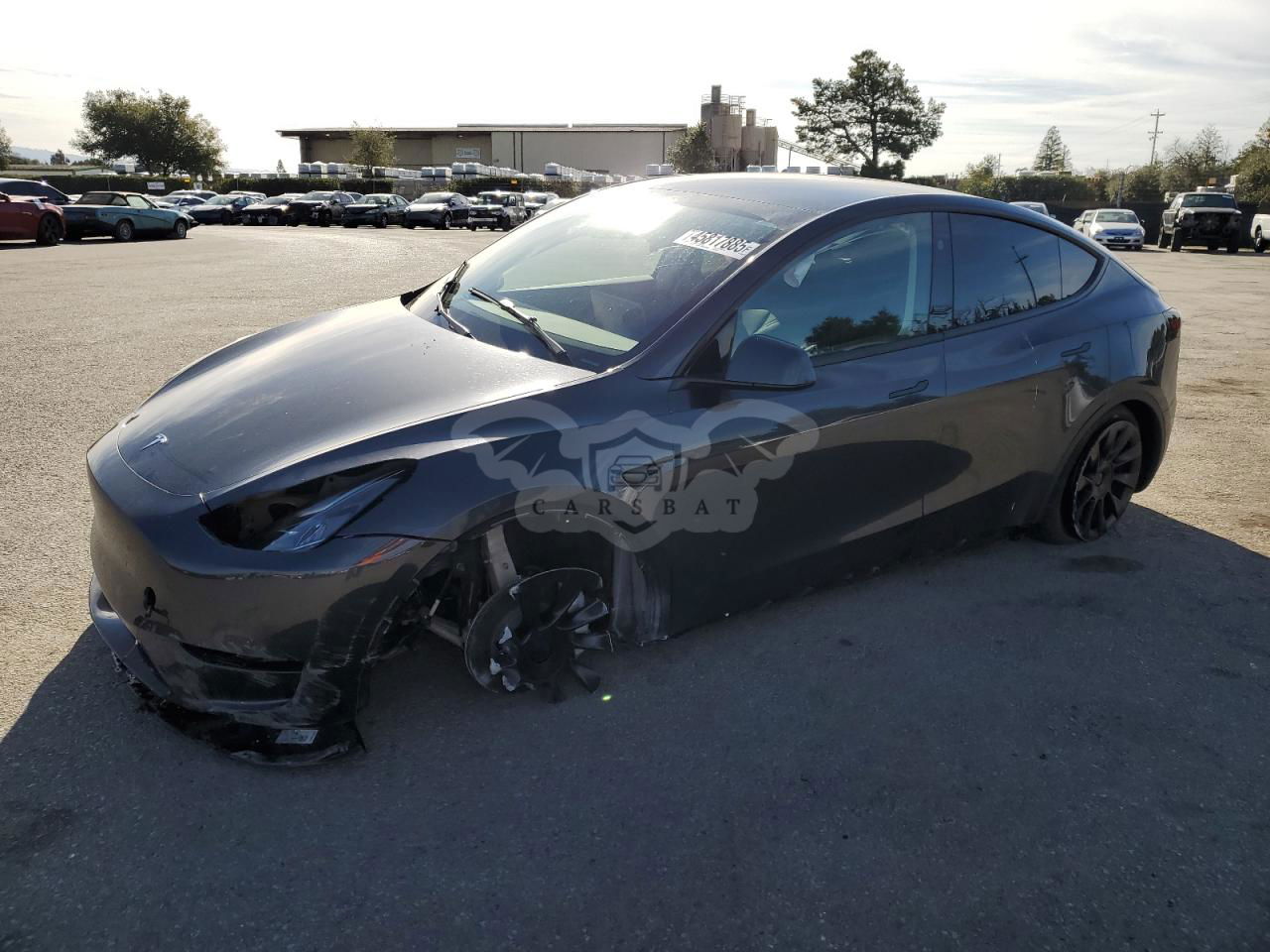 Tesla Model Y 2025