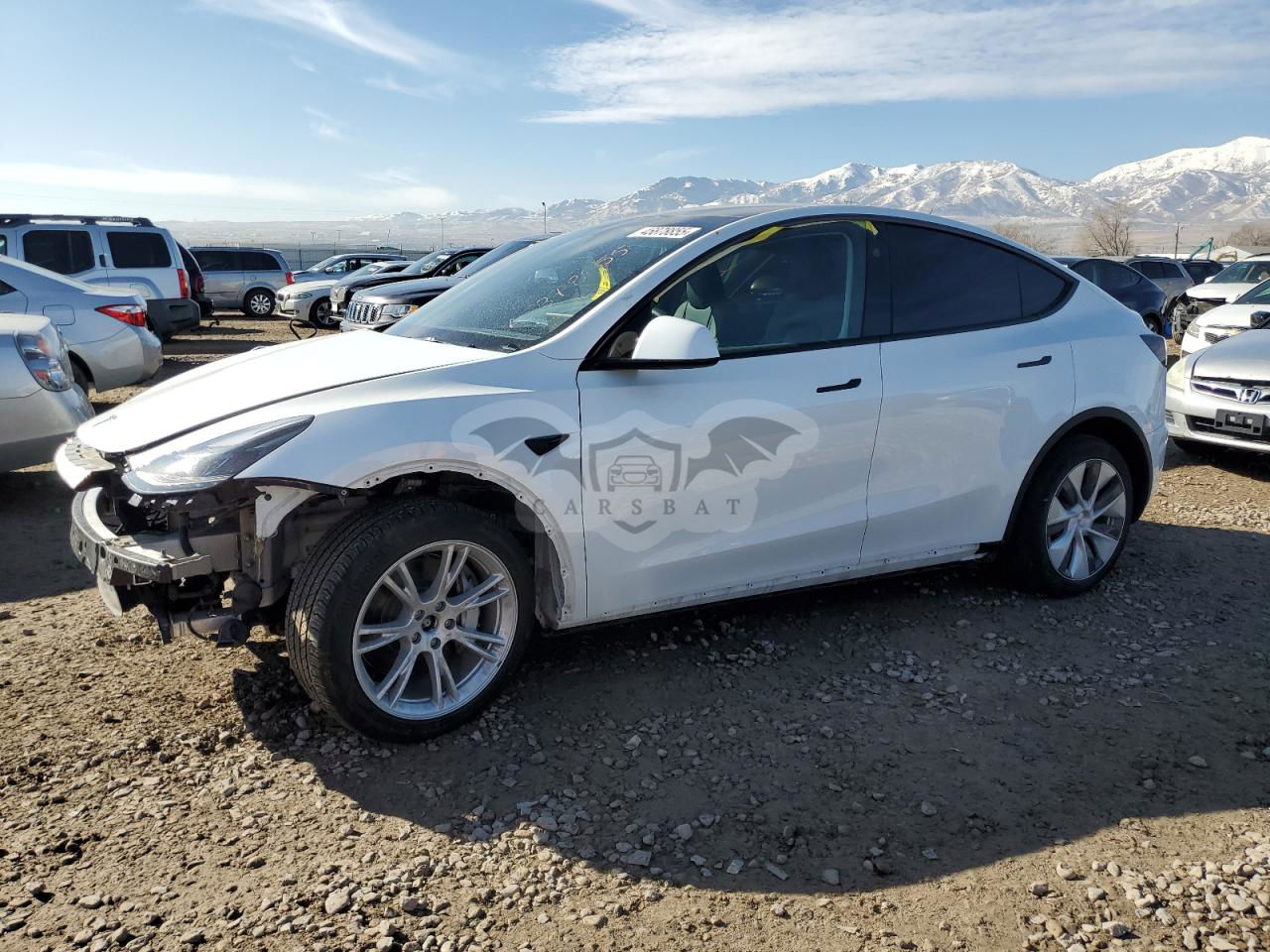 Tesla Model Y 2024